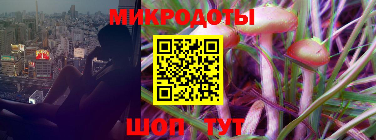 Галлюциногенные грибы мухоморы Татарск